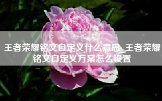 王者荣耀铭文自定义什么意思_王者荣耀铭文自定义方案怎么设置