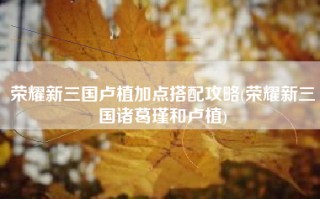 荣耀新三国卢植加点搭配攻略(荣耀新三国诸葛瑾和卢植)