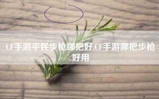 CF手游平民步枪哪把好,CF手游哪把步枪好用