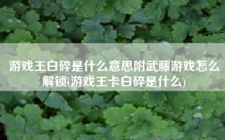 游戏王白碎是什么意思附武藤游戏怎么解锁(游戏王卡白碎是什么)
