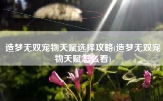 造梦无双宠物天赋选择攻略(造梦无双宠物天赋怎么看)