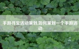 手游寻宝活动策划,如何策划一个手游活动