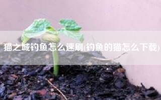 猫之城钓鱼怎么速刷(钓鱼的猫怎么下载)