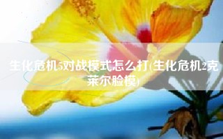 生化危机5对战模式怎么打(生化危机2克莱尔脸模)