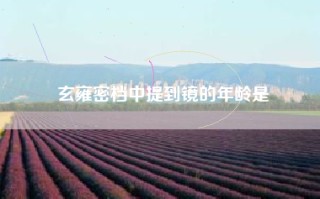 玄雍密档中提到镜的年龄是