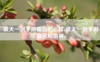 破天一剑手游南宫怎么样(破天一剑手游南宫和悟神)