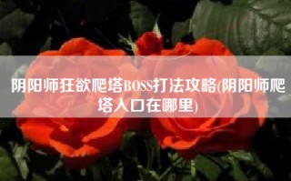 阴阳师狂欲爬塔BOSS打法攻略(阴阳师爬塔入口在哪里)