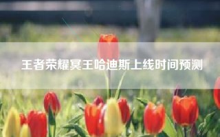 王者荣耀冥王哈迪斯上线时间预测