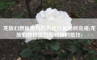 龙族幻想秋田妈妈的信任务如何完成(龙族幻想秋田妈妈对你的信任)