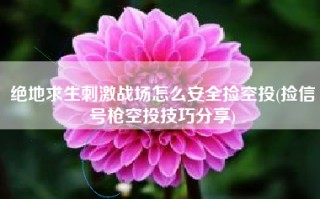 绝地求生刺激战场怎么安全捡空投(捡信号枪空投技巧分享)