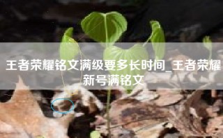 王者荣耀铭文满级要多长时间_王者荣耀新号满铭文