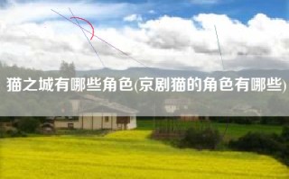 猫之城有哪些角色(京剧猫的角色有哪些)