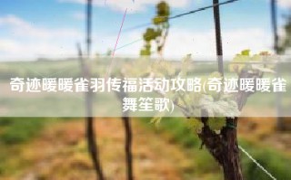 奇迹暖暖雀羽传福活动攻略(奇迹暖暖雀舞笙歌)