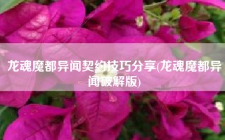 龙魂魔都异闻契约技巧分享(龙魂魔都异闻破解版)