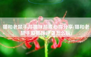 猫和老鼠手游猫咪游戏心得分享(猫和老鼠手游猫咪逆袭怎么玩)