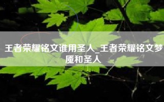 王者荣耀铭文谁用圣人_王者荣耀铭文梦魇和圣人