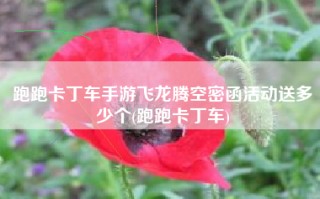 跑跑卡丁车手游飞龙腾空密函活动送多少个(跑跑卡丁车)