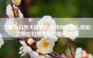 三国志幻想大陆初心未改阵容怎么搭配(三国志幻想大陆初始风物志)