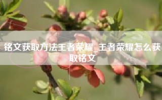 铭文获取方法王者荣耀_王者荣耀怎么获取铭文