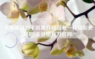 天涯明月刀手游星月群岛老一轩辕船长攻略(天涯明月刀官网)