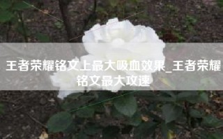 王者荣耀铭文上最大吸血效果_王者荣耀铭文最大攻速