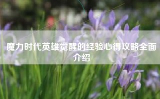 魔力时代英雄觉醒的经验心得攻略全面介绍