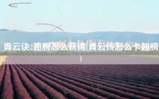 青云诀2翅膀怎么获得(青云传怎么卡翅膀)