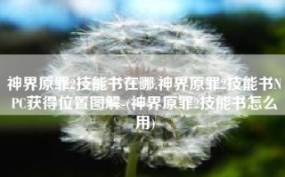 神界原罪2技能书在哪,神界原罪2技能书NPC获得位置图解-(神界原罪2技能书怎么用)