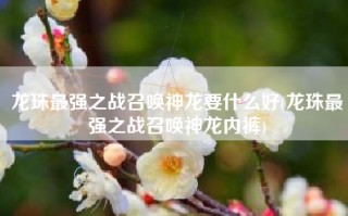 龙珠最强之战召唤神龙要什么好(龙珠最强之战召唤神龙内裤)