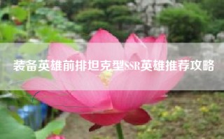 装备英雄前排坦克型SSR英雄推荐攻略