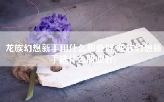 龙族幻想新手用什么职业好(龙族幻想新手选什么职业好)