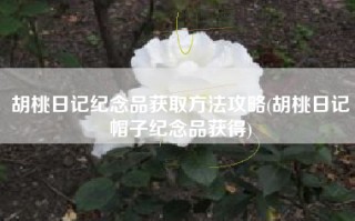 胡桃日记纪念品获取方法攻略(胡桃日记帽子纪念品获得)