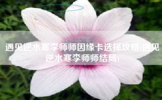 遇见逆水寒李师师因缘卡选择攻略(遇见逆水寒李师师结局)
