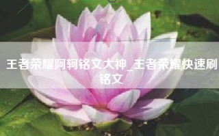 王者荣耀阿轲铭文大神_王者荣耀快速刷铭文