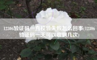 12306验证码一直校验失败怎么回事(12306验证码一天可以收到几次)