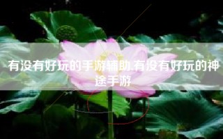 有没有好玩的手游辅助,有没有好玩的神途手游