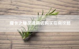 魔卡之耀灵魂商店购买指南攻略
