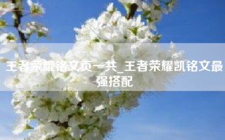 王者荣耀铭文页一共_王者荣耀凯铭文最强搭配