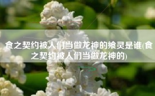 食之契约被人们当做龙神的飨灵是谁(食之契约被人们当做龙神的)