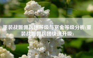 重装战姬佣兵团等级与赏金等级分析(重装战姬佣兵团快速升级)