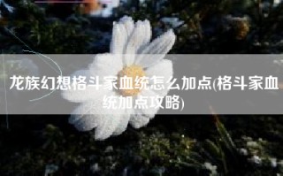 龙族幻想格斗家血统怎么加点(格斗家血统加点攻略)