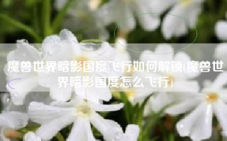 魔兽世界暗影国度飞行如何解锁(魔兽世界暗影国度怎么飞行)