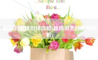超级羽毛球扣球攻略(超级羽毛球扣球解析)