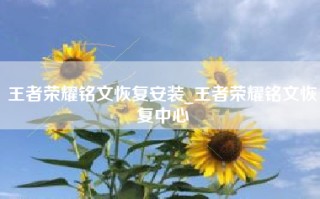 王者荣耀铭文恢复安装_王者荣耀铭文恢复中心