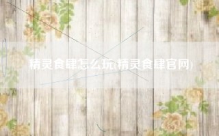 精灵食肆怎么玩(精灵食肆官网)
