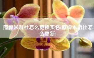 原神米游社怎么更换实名(原神米游社怎么更新)