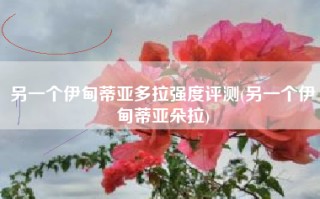 另一个伊甸蒂亚多拉强度评测(另一个伊甸蒂亚朵拉)