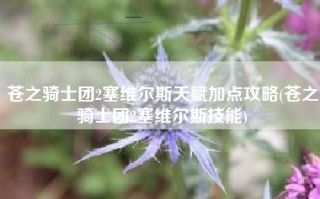 苍之骑士团2塞维尔斯天赋加点攻略(苍之骑士团2塞维尔斯技能)