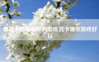 像托卡游戏那种的游戏,托卡哪些游戏好玩
