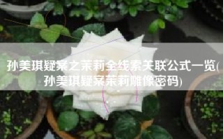 孙美琪疑案之茉莉全线索关联公式一览(孙美琪疑案茉莉雕像密码)